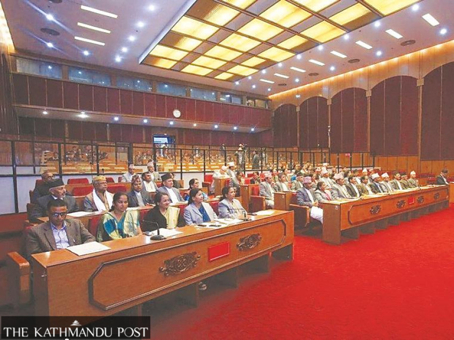 Upper house awaits vice-chair for months as parties show lack of interest in electing one