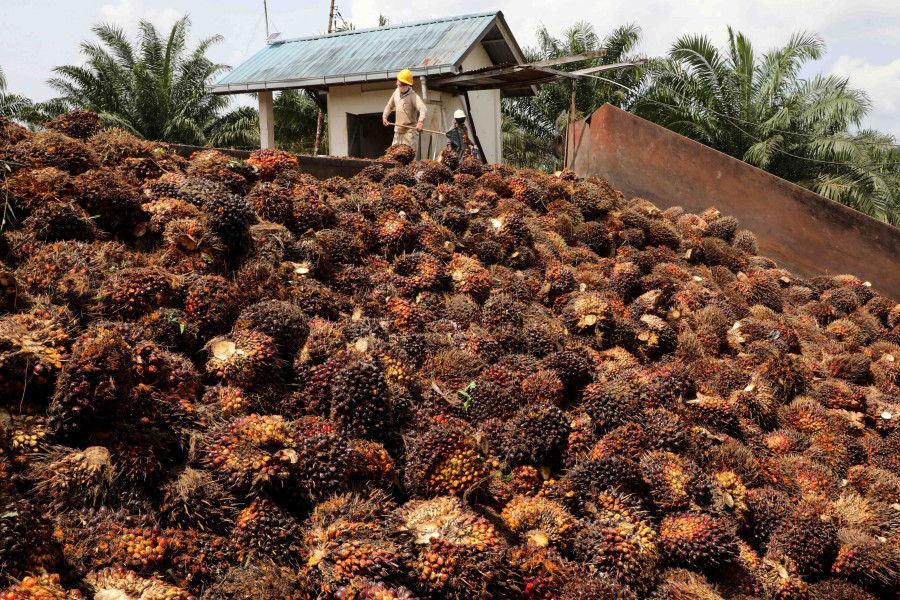 Palm oil supply curbs may hit Nepali manufacturers