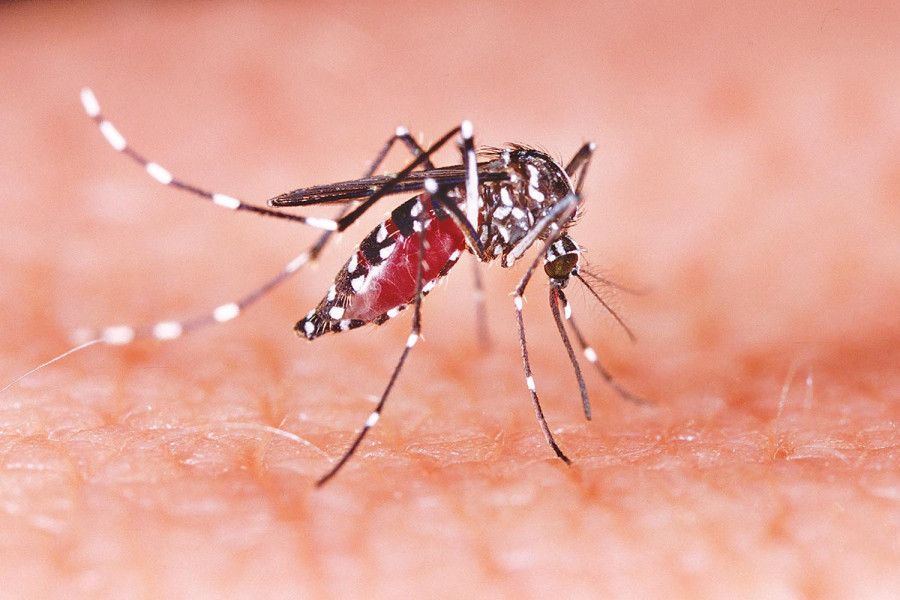 Kala-azar infection in children under five years old rising markedly