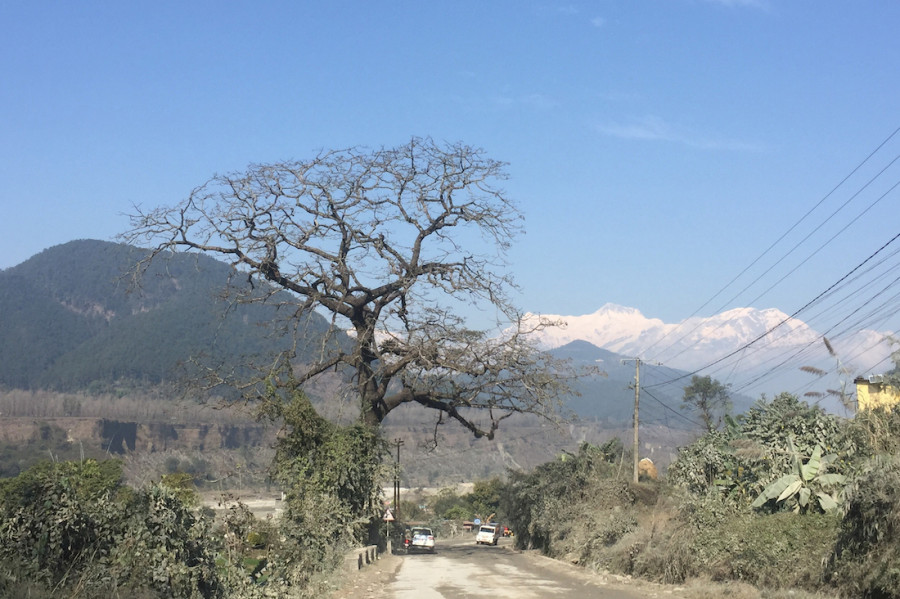 Officials snub calls to save egg of endangered vulture