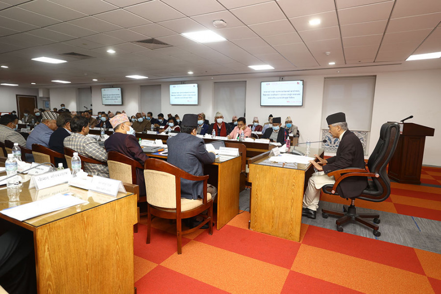 Government decides to hold local level polls on May 13