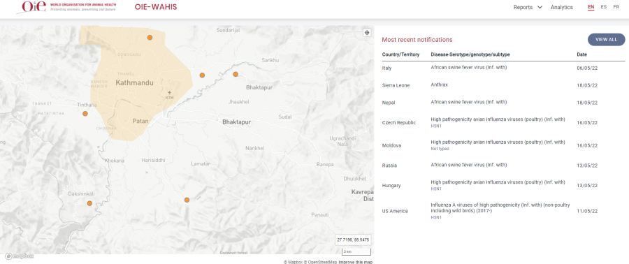 Nepal reports first deadly African swine fever outbreak