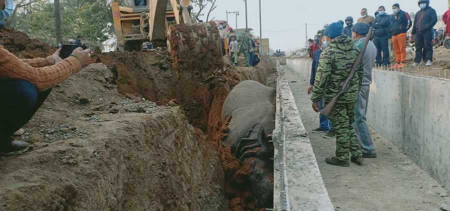 Forest ministry orders action against Chitwan National Park officials over rhino death
