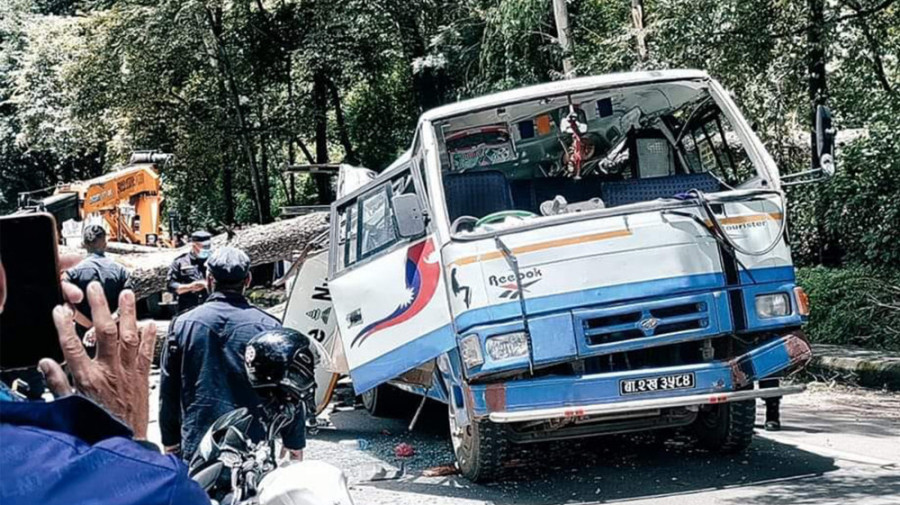 Tree falls on passenger bus, scooter in Bhaktapur killing three people