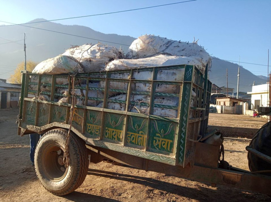 Police in Jumla impound tractor carrying large quantity of medicinal herbs