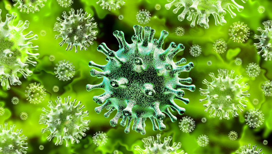 Nepal reports 275 cases as rapid antigen tests added to daily infection tallies