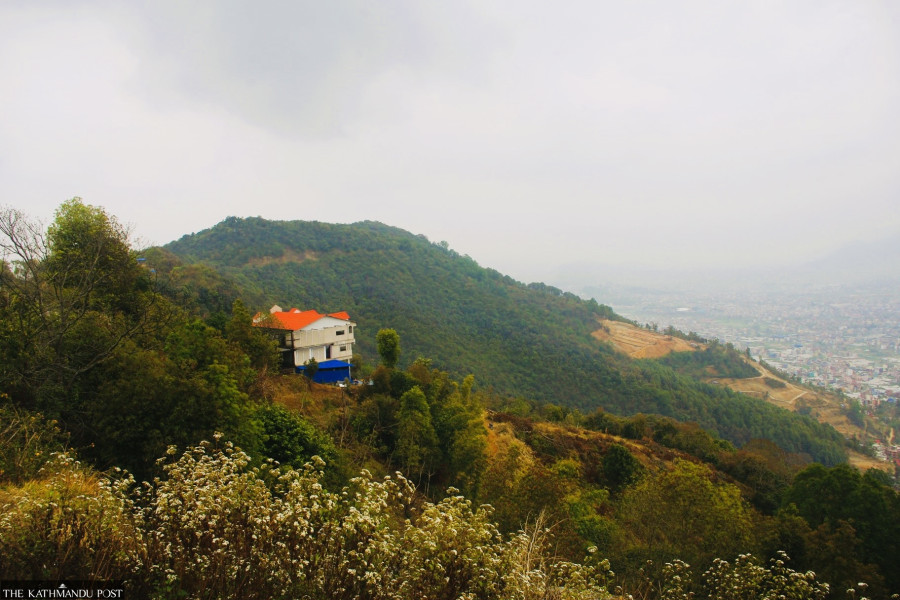 An exciting escapade