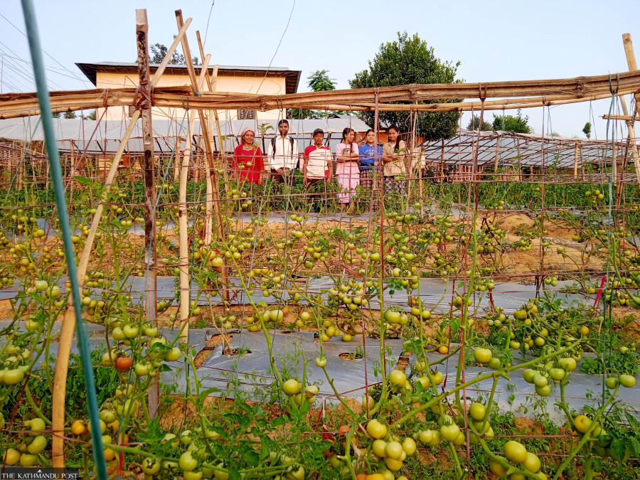 Farm subsidies ending up in wrong hands, report says
