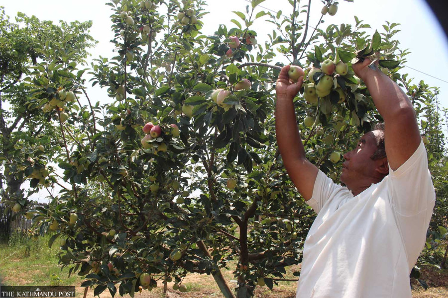 Permaculture breathes new life into ghost towns