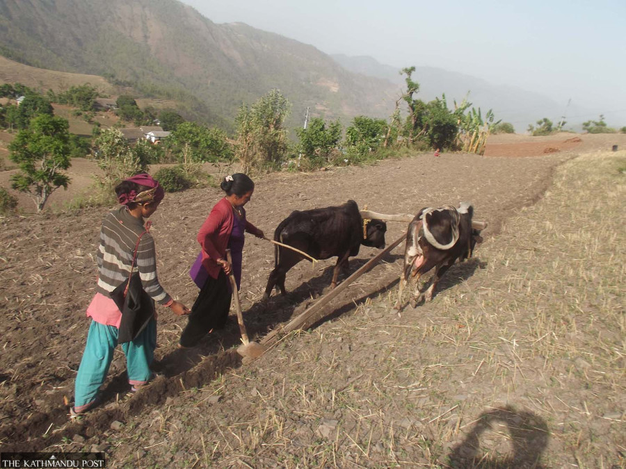 Patriarchal Nepal sees steep rise in female-headed households