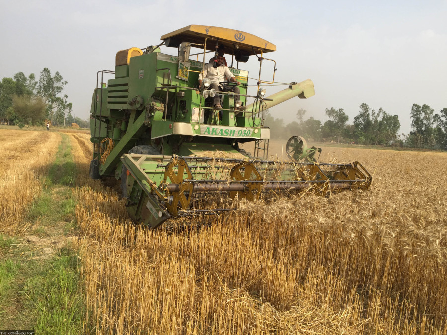 Flour industry seeks increase in Indian wheat export quota