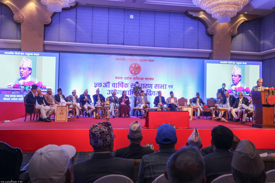 Experts paint gloomy picture of economy as FNCCI readies for election