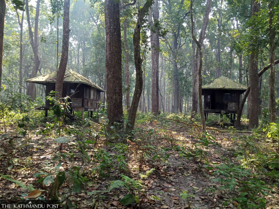 Crumbling jungle villas hark back to golden safari era