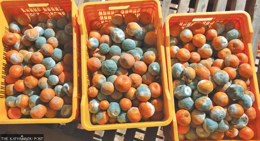 Hope and despair in Suntala Superzone