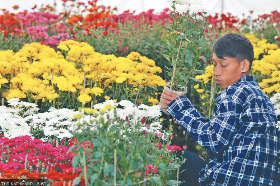Economic slowdown hits restaurant business—and budding floriculture