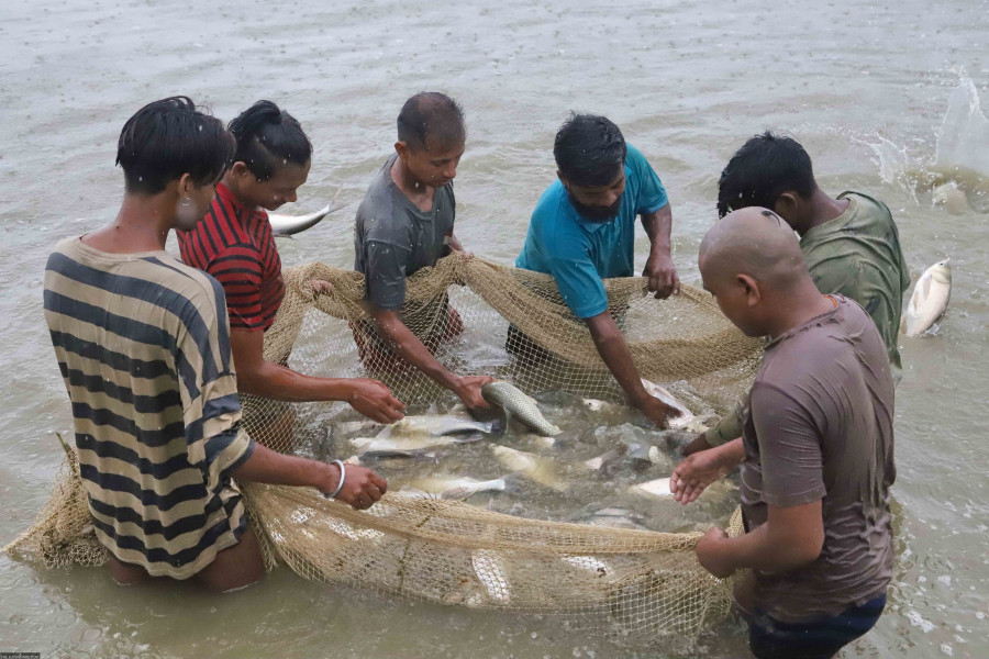 Fish raising transforms lives of subsistence farmers