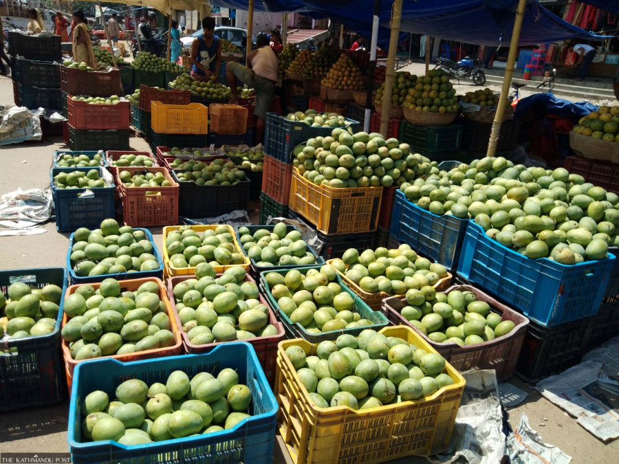 Mango farmers say government should set floor price