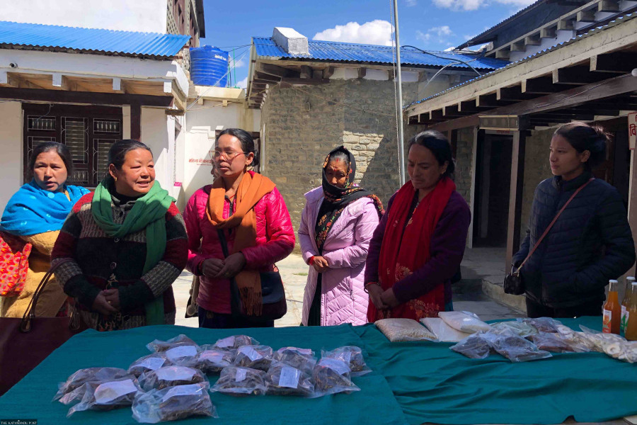 Women entrepreneurs in Mustang in need of digital marketing skills