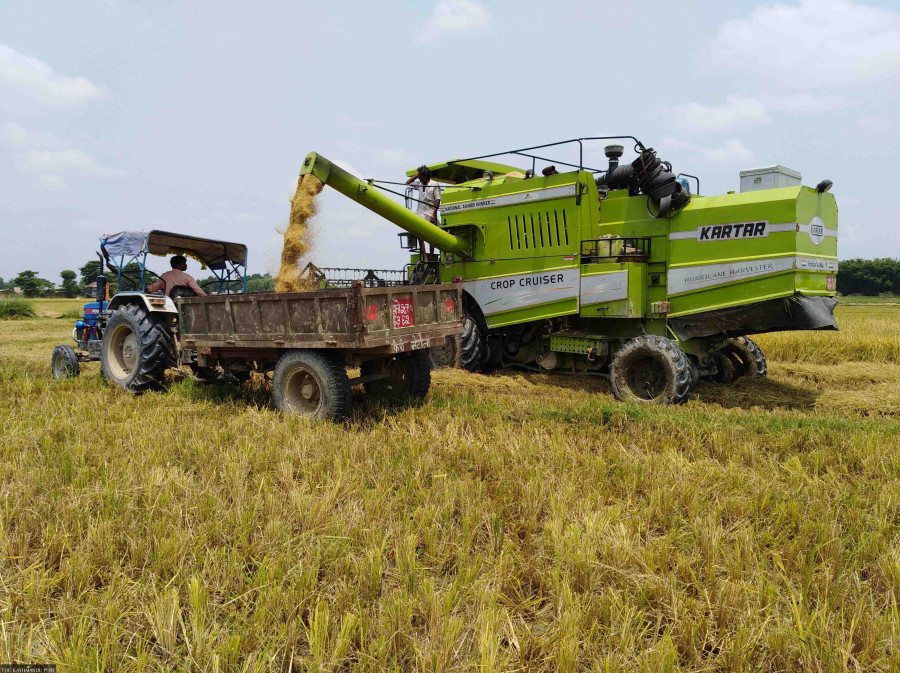 Government raises minimum support price for paddy