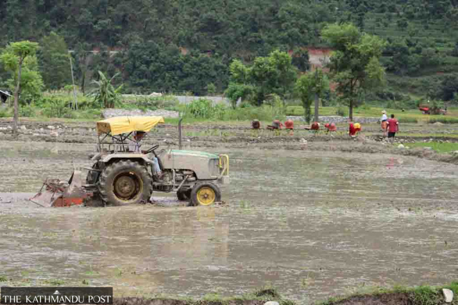 Farmers in Gorkha switch to tractors from oxen