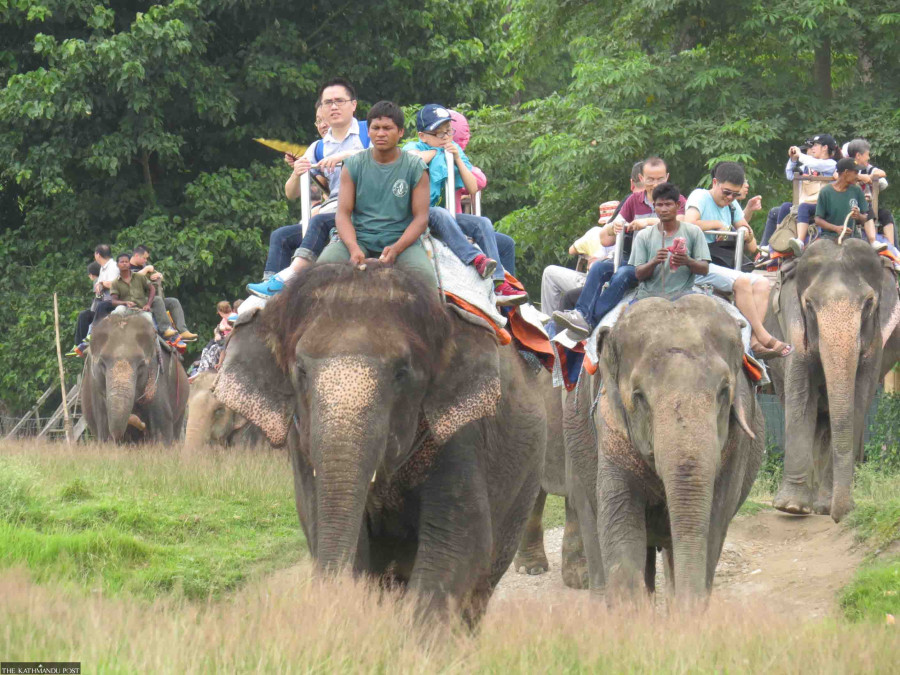 Travel industry criticises VAT, luxury taxes
