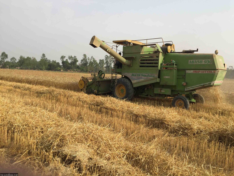 India clears export of 300,000 tonnes of wheat to Nepal