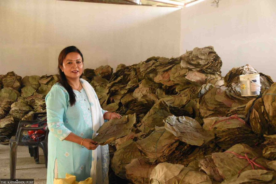 Women led businesses surge in Rupandehi