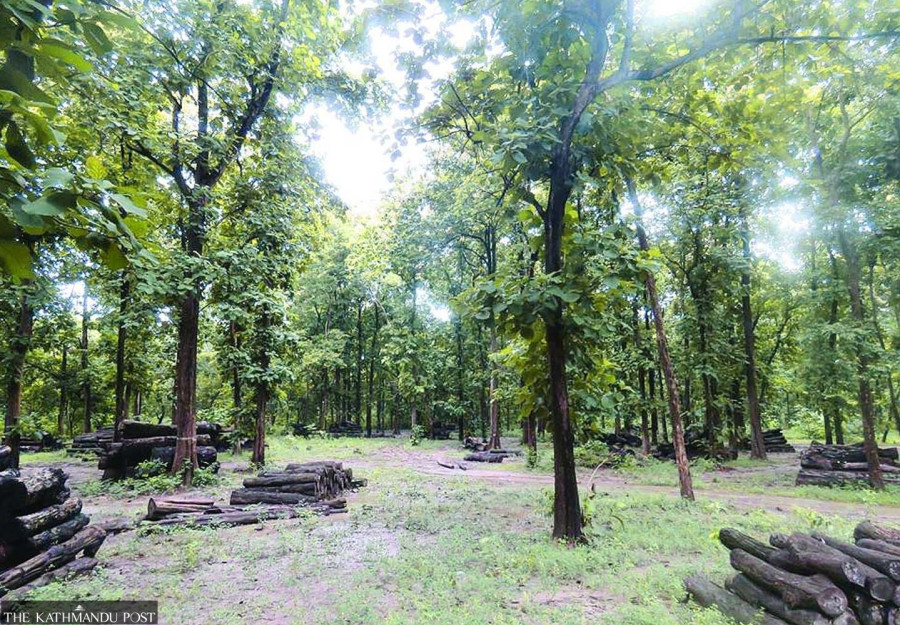 Stakeholders say Forest Act amendment bill will create difficulties in hydropower project development