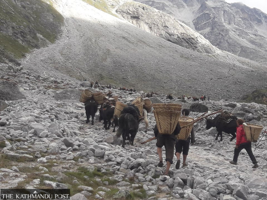 Buying salt becoming a challenge for outlying Mugu villages