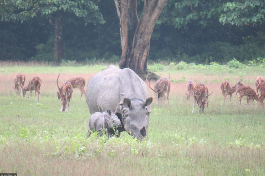Decades-old fight against privatisation of forest land is bearing fruit for Baghmara Buffer Zone in Chitwan