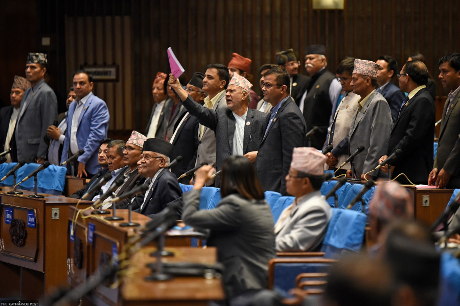 Parties stall House over citizenship bill’s authentication