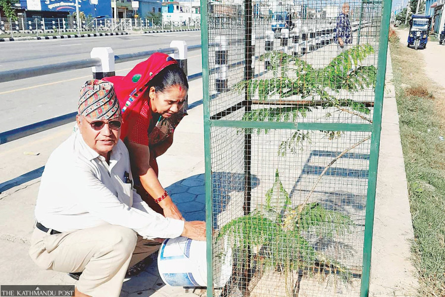 Dhangadhi encouraging public to plant saplings in memory of their loved ones