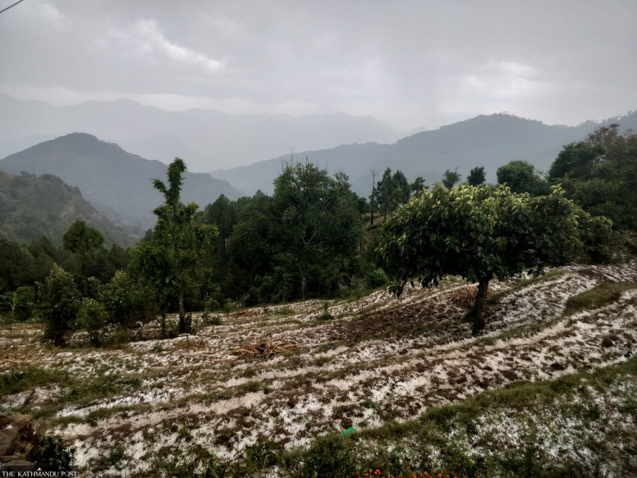 Hailstones damage crops, vegetables in Darchula
