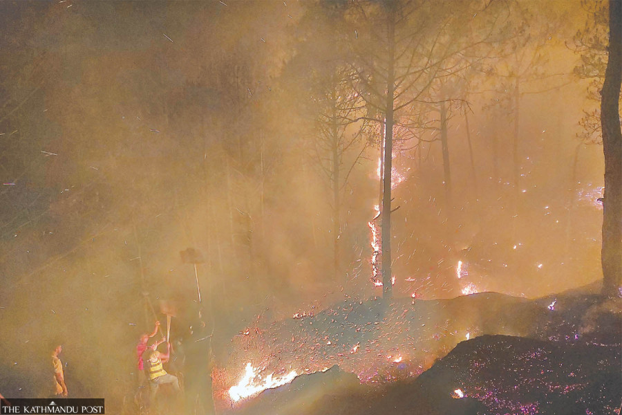 Districts of Lumbini province are caught unprepared by wildfires every year