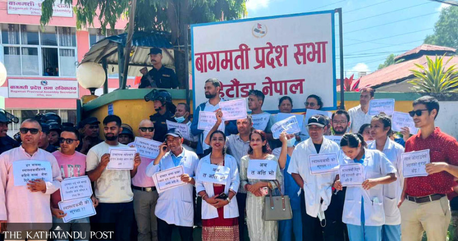 Health workers stage demonstrations in front of provincial assembly building