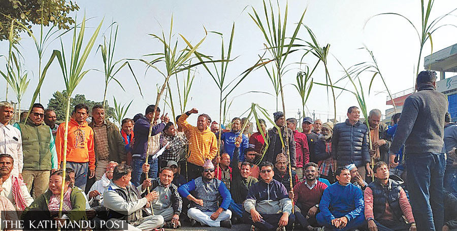 Sugarcane farmers protest in Sarlahi demanding floor price