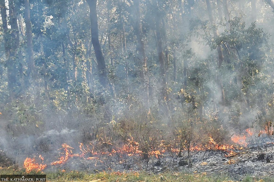 Frequent wildfires in Tarai forests are exposing animals to poachers