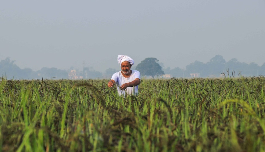 Agriculture growth through investment