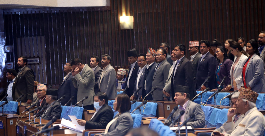 Parliamentarism in the swamps