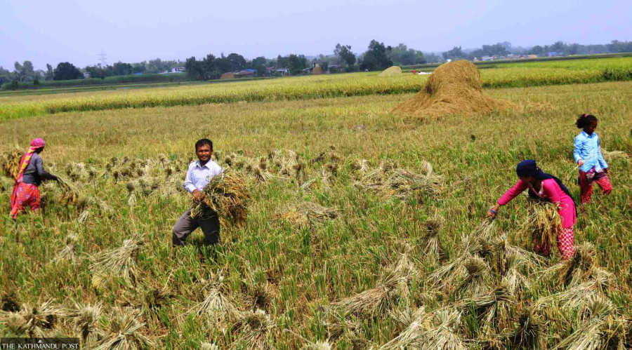 Breaking barriers in agriculture