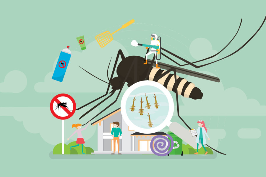 Mild dengue in Kathmandu