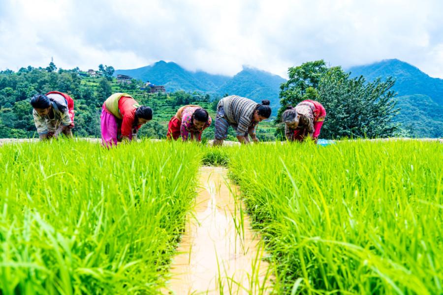 Irrigation for rural development