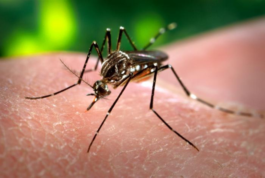 Chikungunya virus: An emerging disease