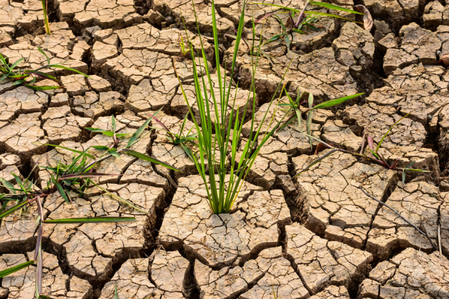 Planning for the dry winds of El Niño