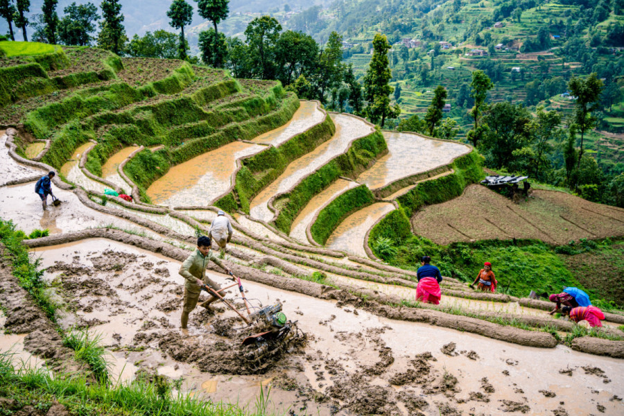 Land equity for food security