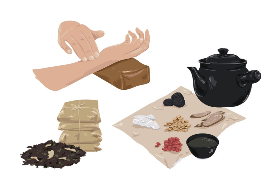 Legitimising traditional healers