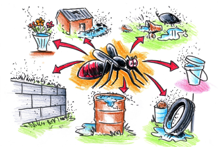Nepal grapples with Aedes mosquito