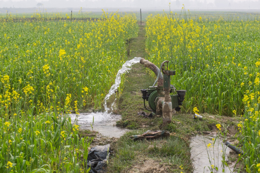 Making Nepali farmers happy