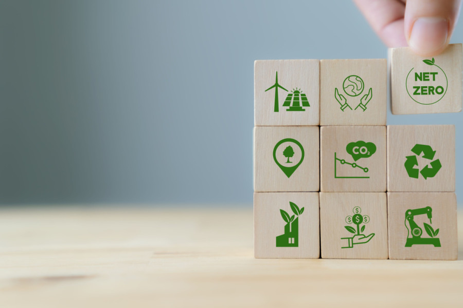 Transparency in climate action