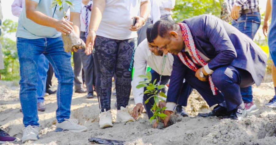 BYD plants 1,500 trees on World Environment Day